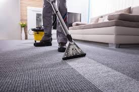 The Role Carpet Cleaning Services Play in Carpet Maintenance Cycles