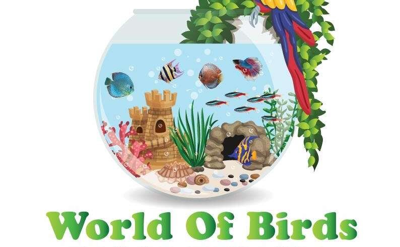 World Of Birds
