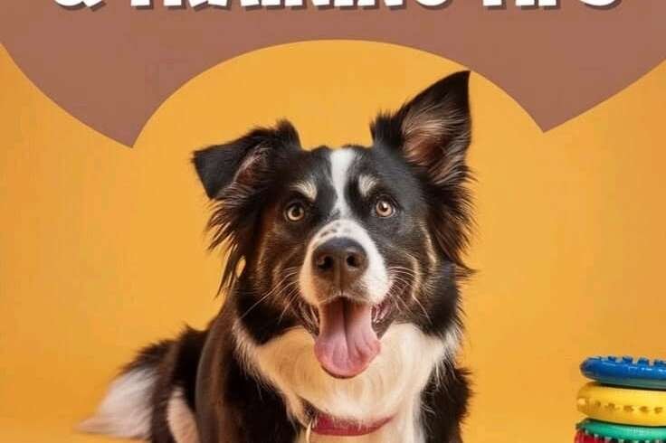 Tips for New Dog Owners: A Beginner’s Guide