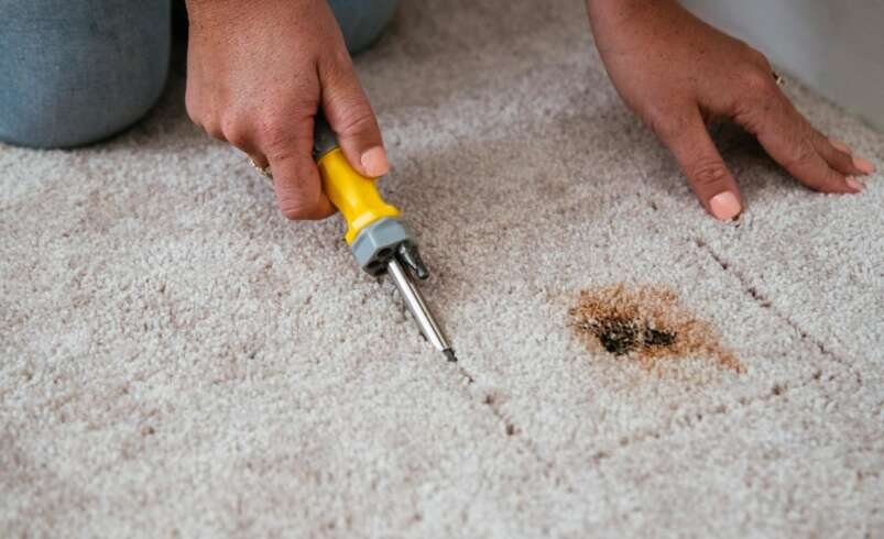 What Homeowners Should Know About Carpet Care in San Antonio