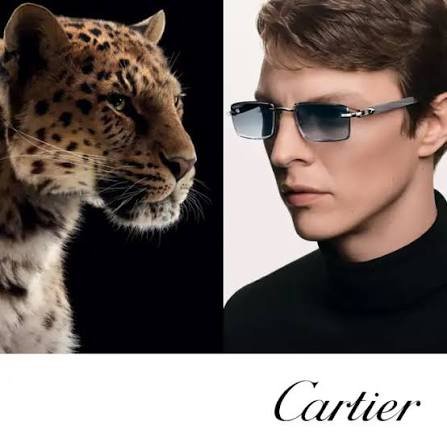 Cartier Glasses Luxury Meets Timeless Style