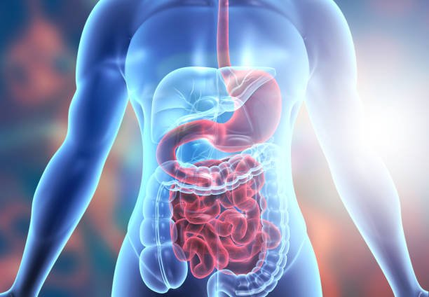 Thailand Digestive Health Trends Highlight the Growing Role of Natural and Convenient Remedies