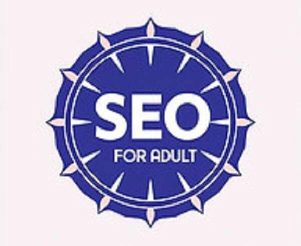 SEO For Adult