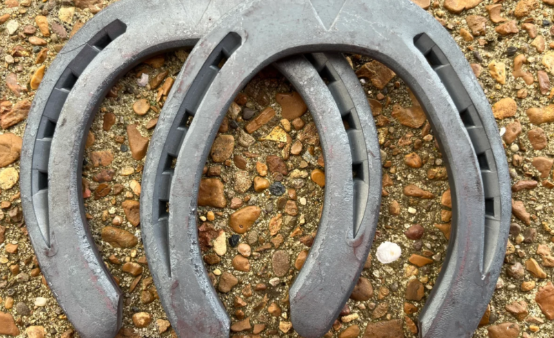 Why Steel Horseshoes Are a Reliable Choice for Professional Farriers