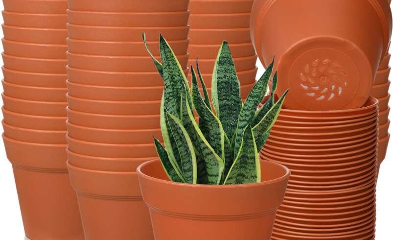 Terracotta Planters Bulk: Premium Terracotta Pots for Wholesale and Commercial Projects