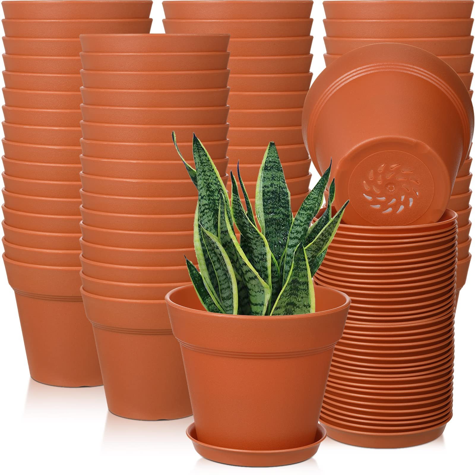 Terracotta Planters Bulk: Premium Terracotta Pots for Wholesale and Commercial Projects