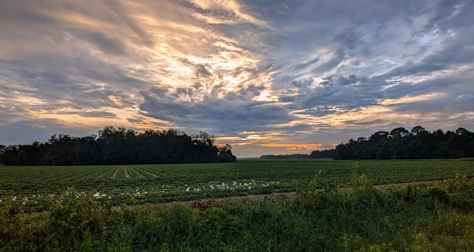 Fine Art Photographer in Theodore, AL: Timeless Wall Art for Every Home