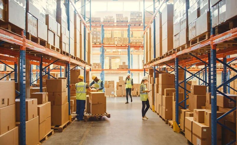Comparing Logistics Consulting Companies in India: What Actually Separates Them