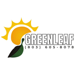 Solar Panel Repair in Ridge Spring: Keeping Your Solar Investment Performing at Its Best