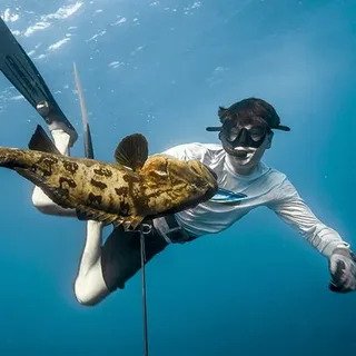 Spearfishing Big Island What First Time Divers Need to Know