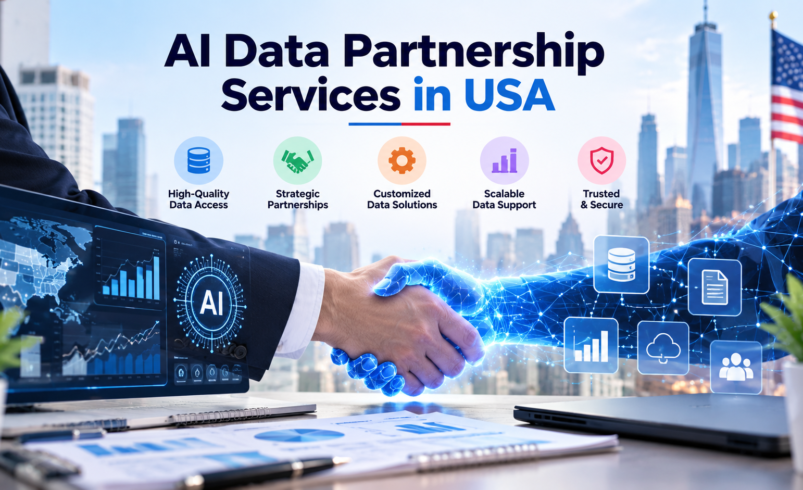 How Can AI Data Partnership Services in USA Turn Data Into Action?