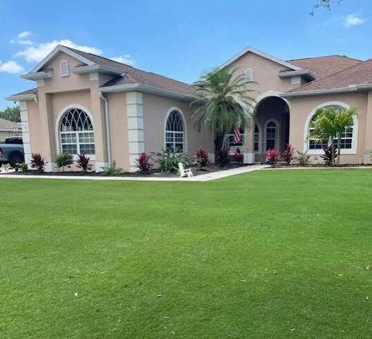 Key Benefits of Choosing Celebration Bermuda Grass for Your Lawn
