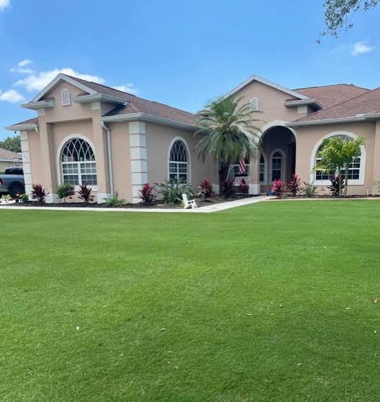 Key Benefits of Choosing Celebration Bermuda Grass for Your Lawn