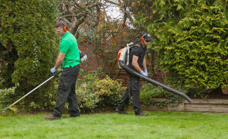 Lawn Care Service | Professional Lawn Maintenance by Limitless Landscaping