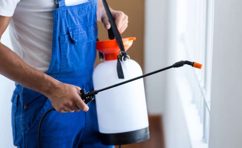 Commercial Pest Control Oklahoma City OK: Your Winter Guide to Keeping Pests Out