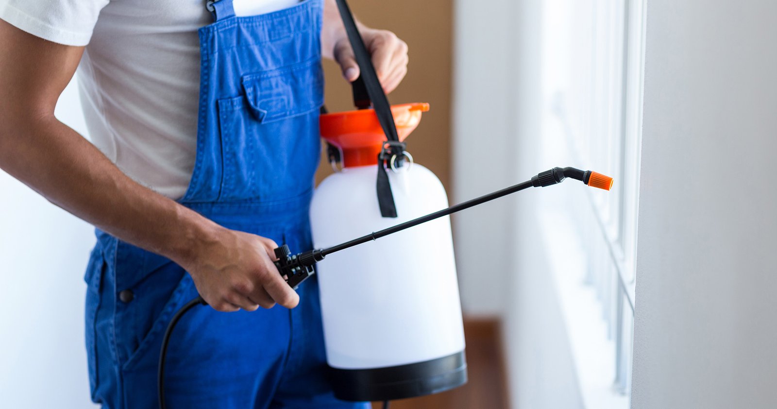 Commercial Pest Control Oklahoma City OK: Your Winter Guide to Keeping Pests Out